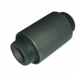 PRO TORSİYON  İÇ BURCU